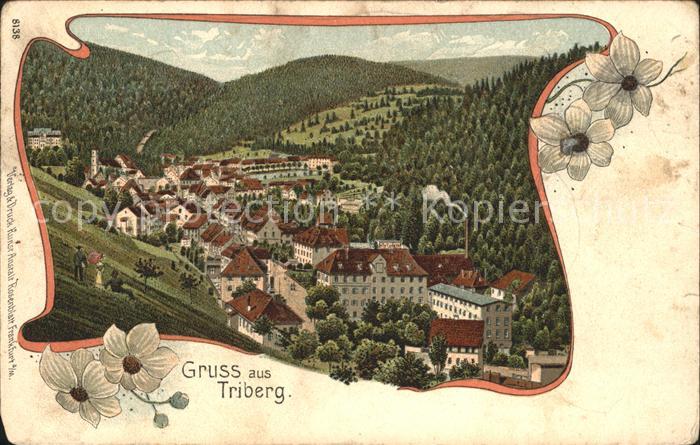 Triberg Schwarzwald Litho