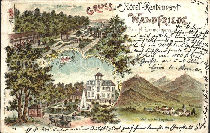 Darmstadt Hotel-Restaurant Waldfriede Waeldchen mit Garten Litho