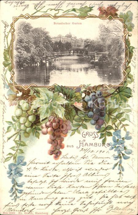 Hamburg Botanischer Garten Trauben Litho