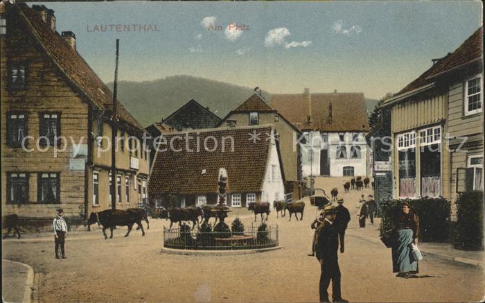 Lautenthal Harz Am Platz