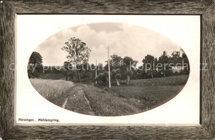 Moersingen Muehlenspring