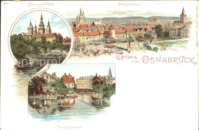 Osnabrueck Dom Wall Haasepartie Litho