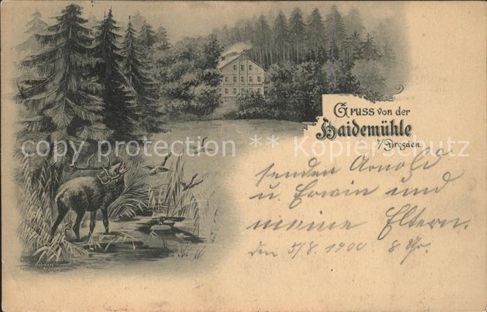 Dresden Gasthof zur Haidemuehle Hirsch