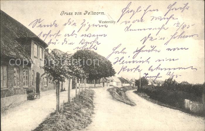 Pellworm Westertilly