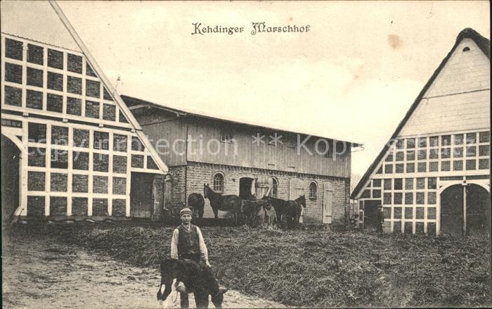 Stade Niederelbe kehdinger Marschhof Pferde Kuh