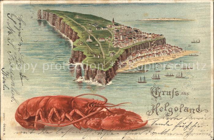 Helgoland Insel Krebs Zeichnung