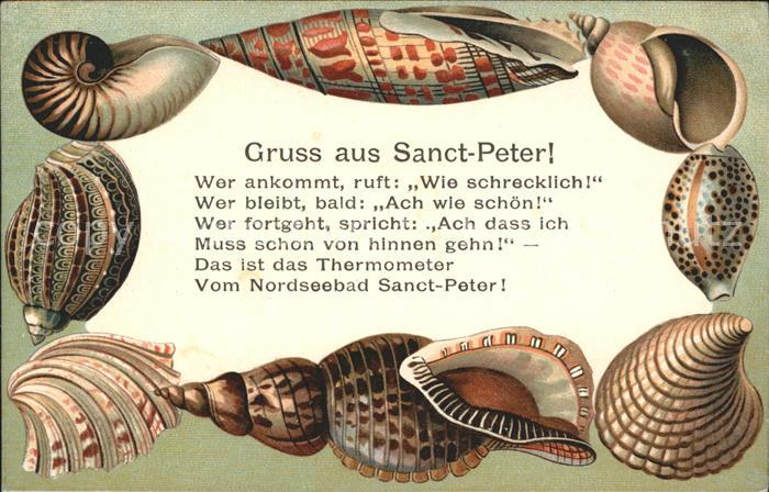 Hamburg Nordseebad Sanct-Peter Muscheln