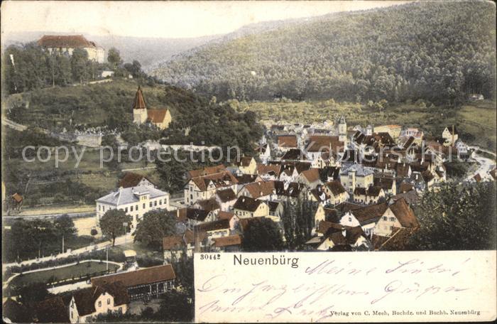 Neuenbuerg Enz Gesamtansicht