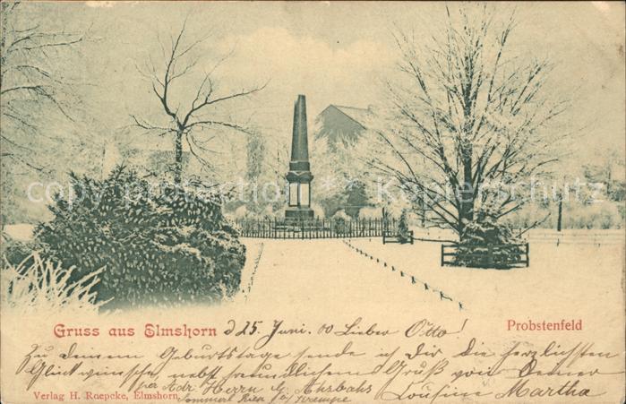Elmshorn Probstenfeld Denkmal im Winter