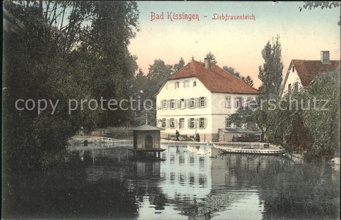 Bad Kissingen Liebfrauenteich Entenhaus