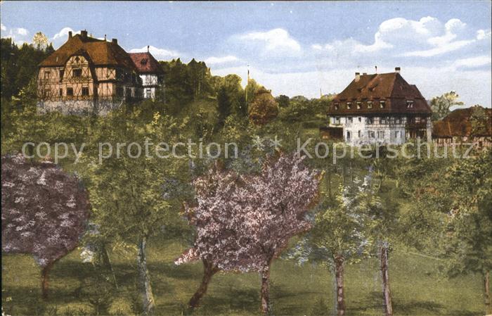 Oberdachstetten Erholungshaus Waldheim Baumbluete