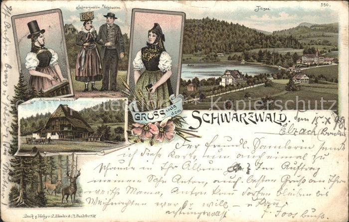 Titisee Schwarzwaelder Volkstrachten Bauernhaus Reh Hirsch