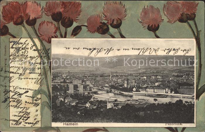 Hameln Weser Panorama Blumen