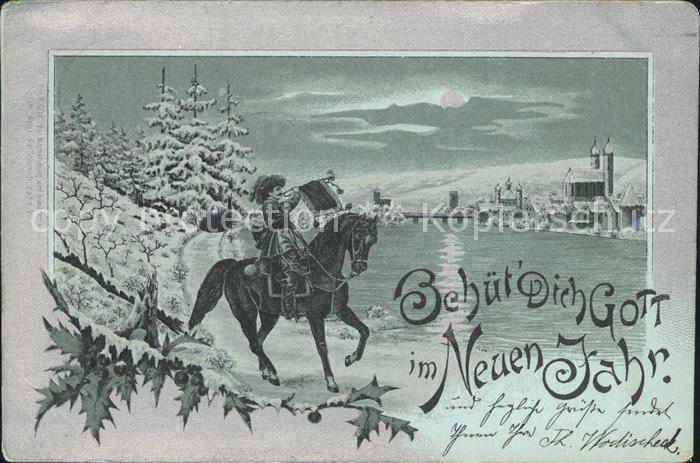 Trompeter Scheffel Neujahr Stechpalme