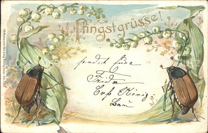 Maikaefer Cockchafer Hanneton vermenschlicht Pfingsten Maigloeckchen Litho