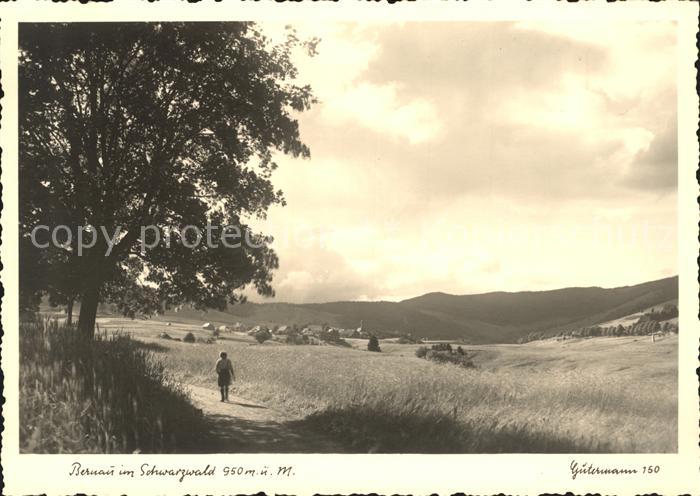 Foto Gutermann Nr. 150 Bernau im Schwarzwald