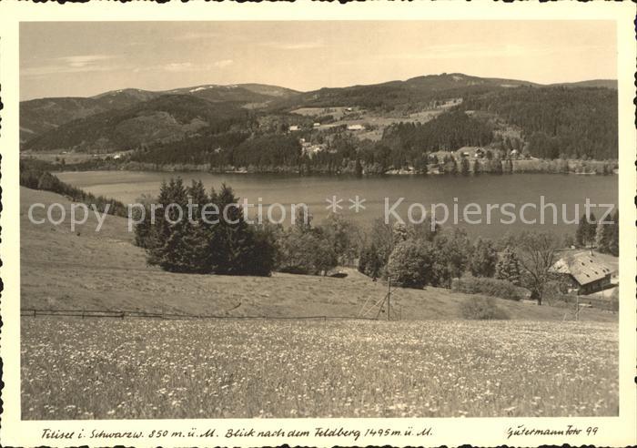 Foto Gutermann Nr. 99 Titisee im Schwarzwald Feldberg