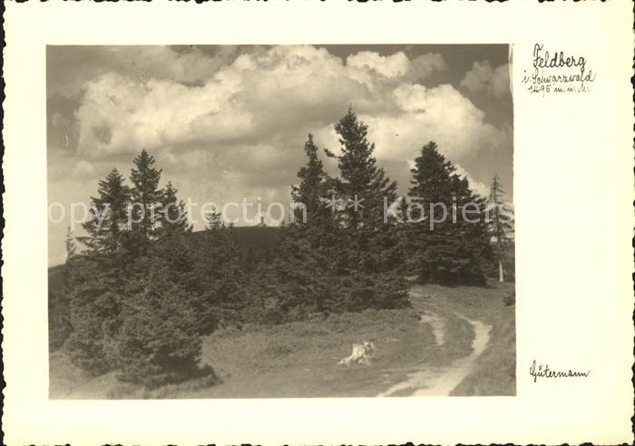 Foto Gutermann Feldberg Schwarzwald