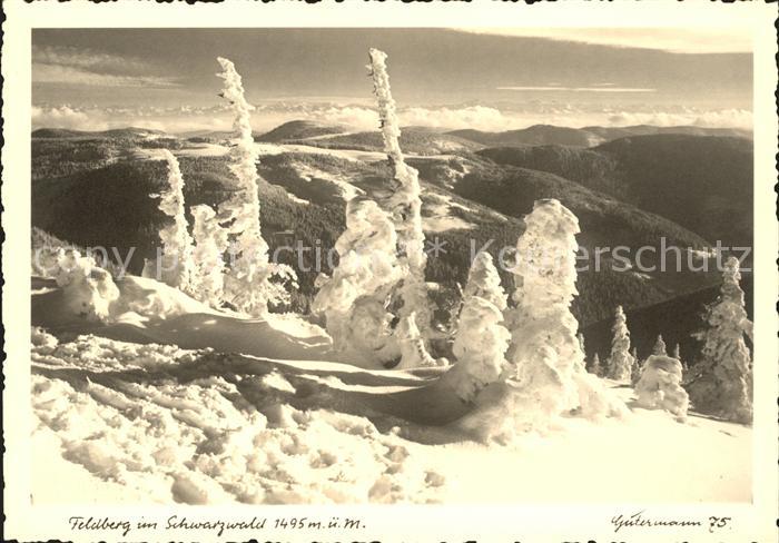 Foto Gutermann Nr. 75 Feldberg Schwarzwald