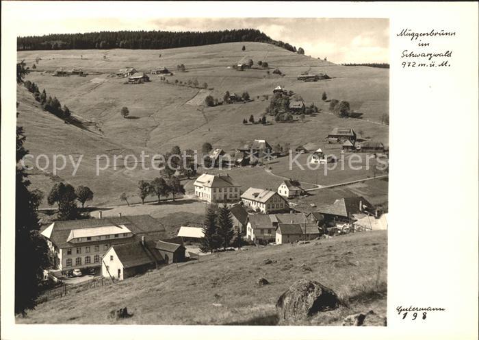 Foto Gutermann Nr. 198 Muggenbrunn Schwarzwald