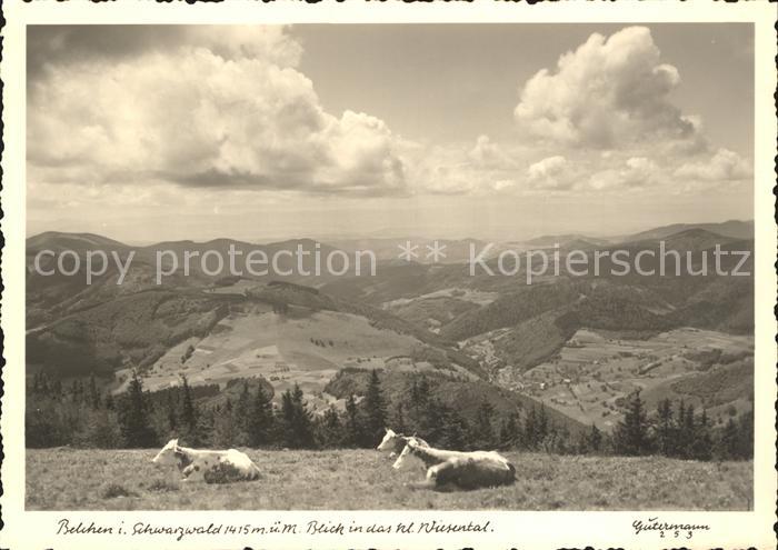 Foto Gutermann Nr. 253 Belchen Schwarzwald Wiesental