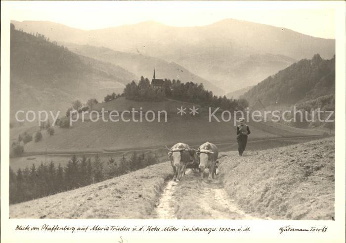 Foto Gutermann Nr. 61 Maria-Frieden Hohe Moehr Schwarzwald Ochsenkarren
