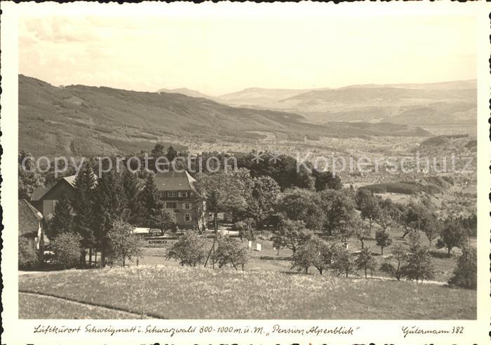Foto Gutermann Nr. 382 Schweigmatt Schwarzwald Pension Alpenblick