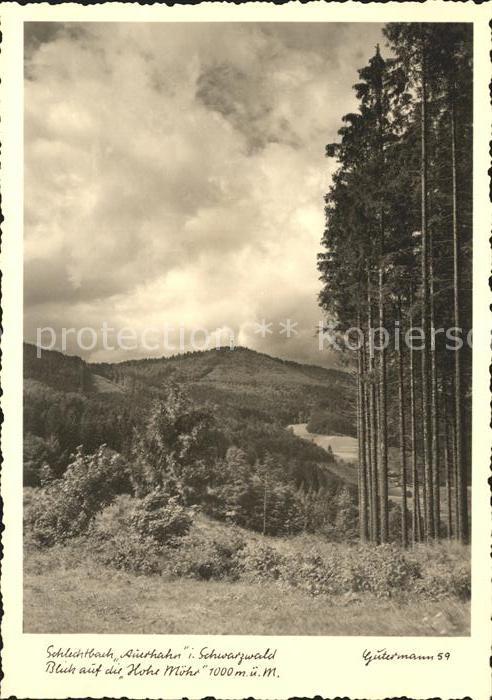 Foto Gutermann Nr. 59 Schlechtbach Auerhahn Schwarzwald Hohe Moehr