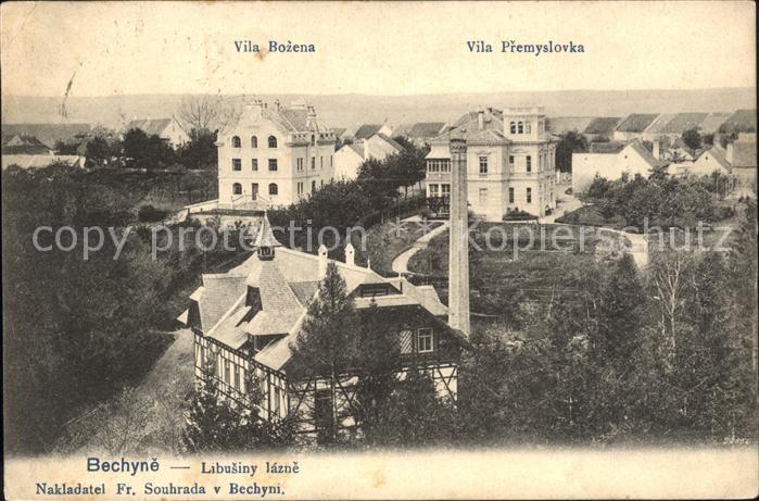 Bechyne Vila Bozena