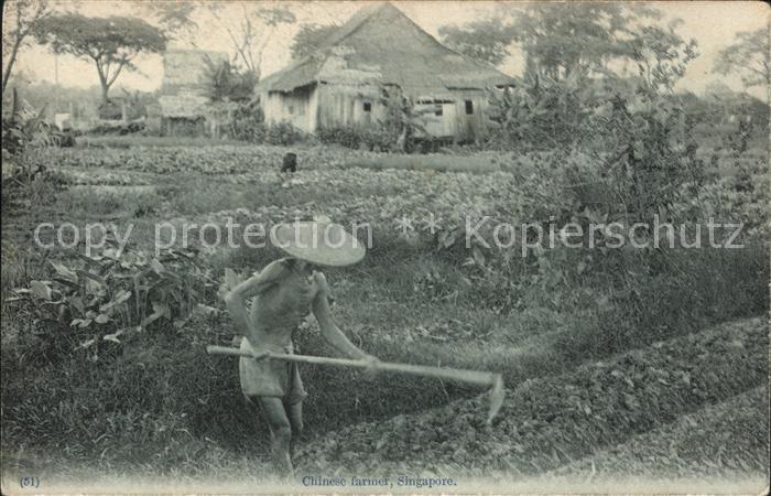 Singapore Landarbeiter