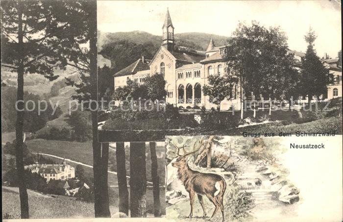 Neusatzeck Kloster Hirsch