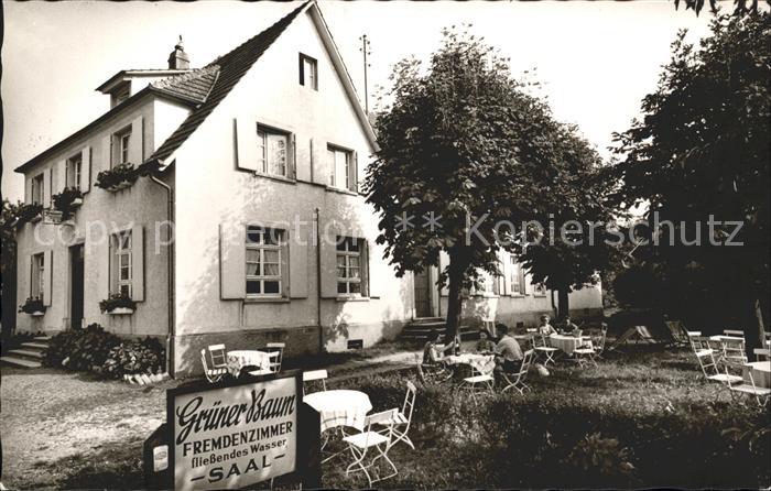 Glottertal Heuweiler Gasthaus Gruener Baum