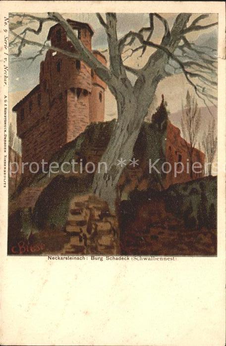 Neckarsteinach Burg Schadeck (Schwalbennest)