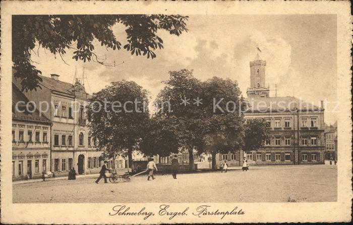 Schneeberg Erzgebirge Fuerstenplatz