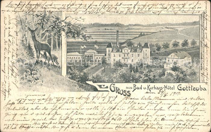 Gottleuba-Berggiesshuebel Bad Bad und Kurhaus Hotel