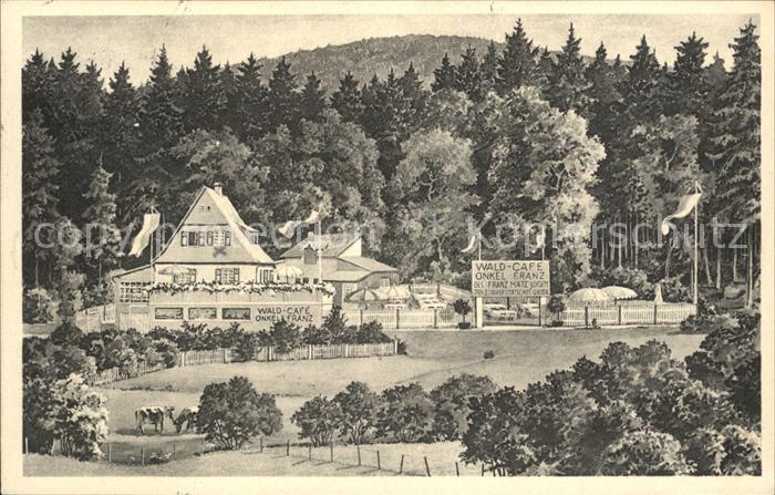 Saalburg Taunus Wald Cafe Pension Onkel Franz