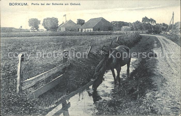 Borkum Schenke am Ostland Pferd