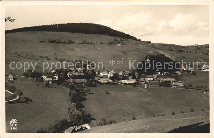 Todtnauberg Blick auf Todtnauberg