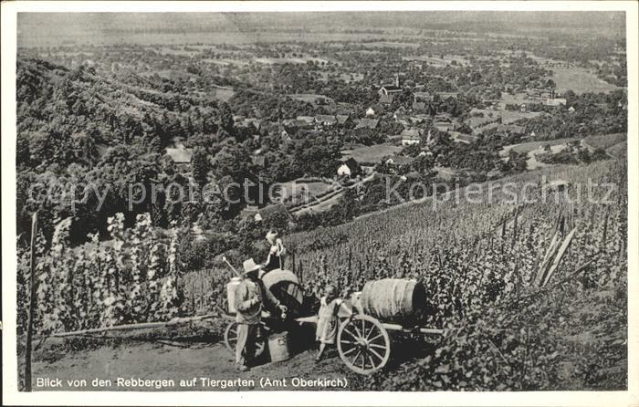 Tiergarten Ortenau Blick von den Rebbergen