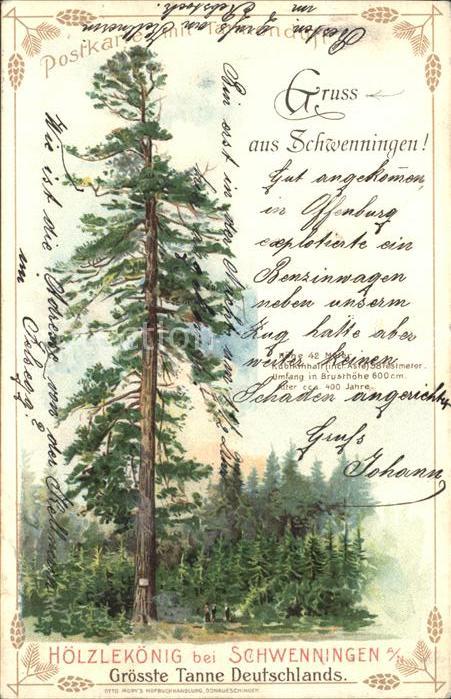 Schwenningen Neckar Groesste Tanne Deutschlands