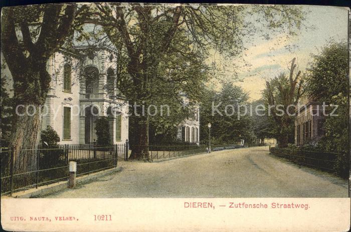 Dieren Zutfensche Straatweg