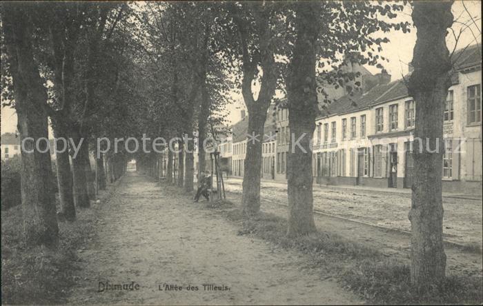 Dixmude L Attée des Tilleuis