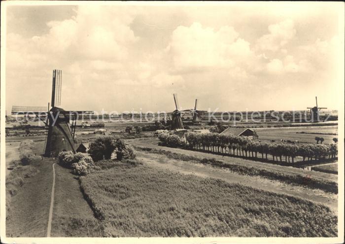 Alblasserwaard Molenpanorama