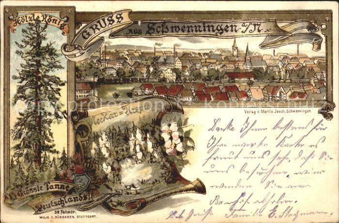 Schwenningen Neckar Hoelzlekoenig Neckar Ursprung