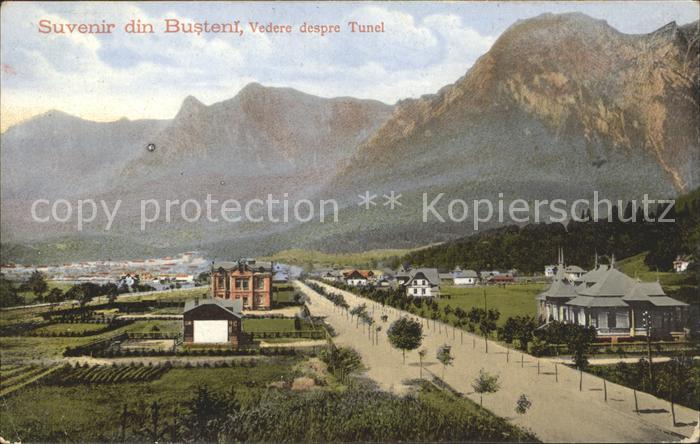 Busteni Vedere despre Tunel