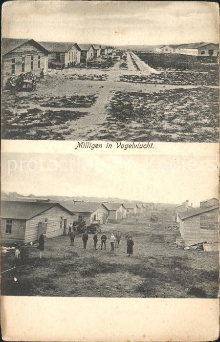 Milligen Vogelvlucht