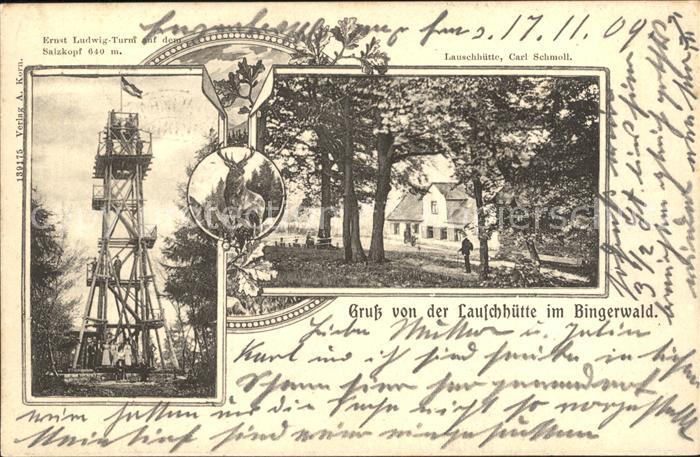 Bingen Rhein Lauschhuette Bingerwald Ernst-Ludwig-Turm Salzkopf