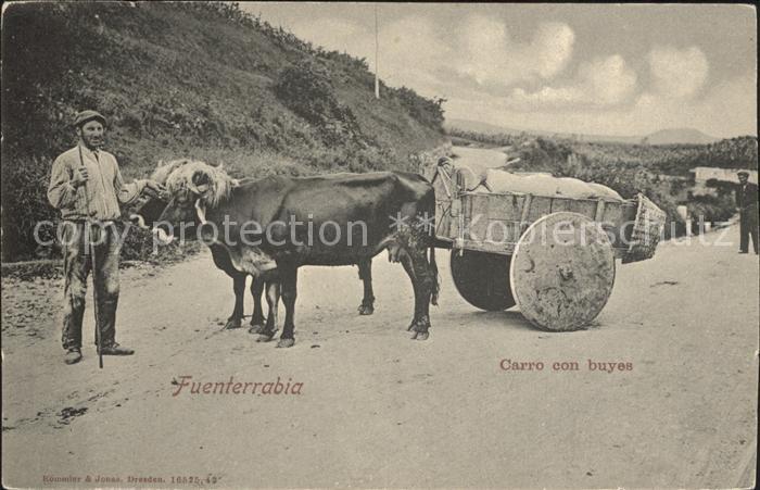 Fuenterrabia Hondarribia Carro con buyes