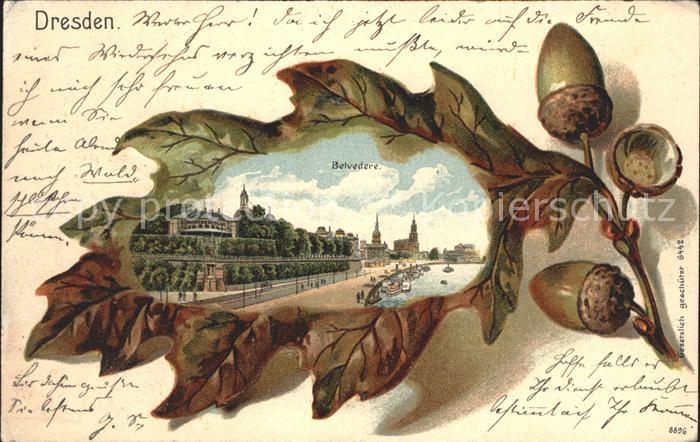 Eichenblatt-Litho Dresden Belvedere Litho