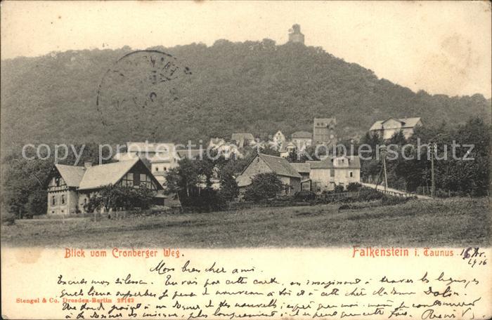 Falkenstein Taunus Blick vom Cronberger Weg